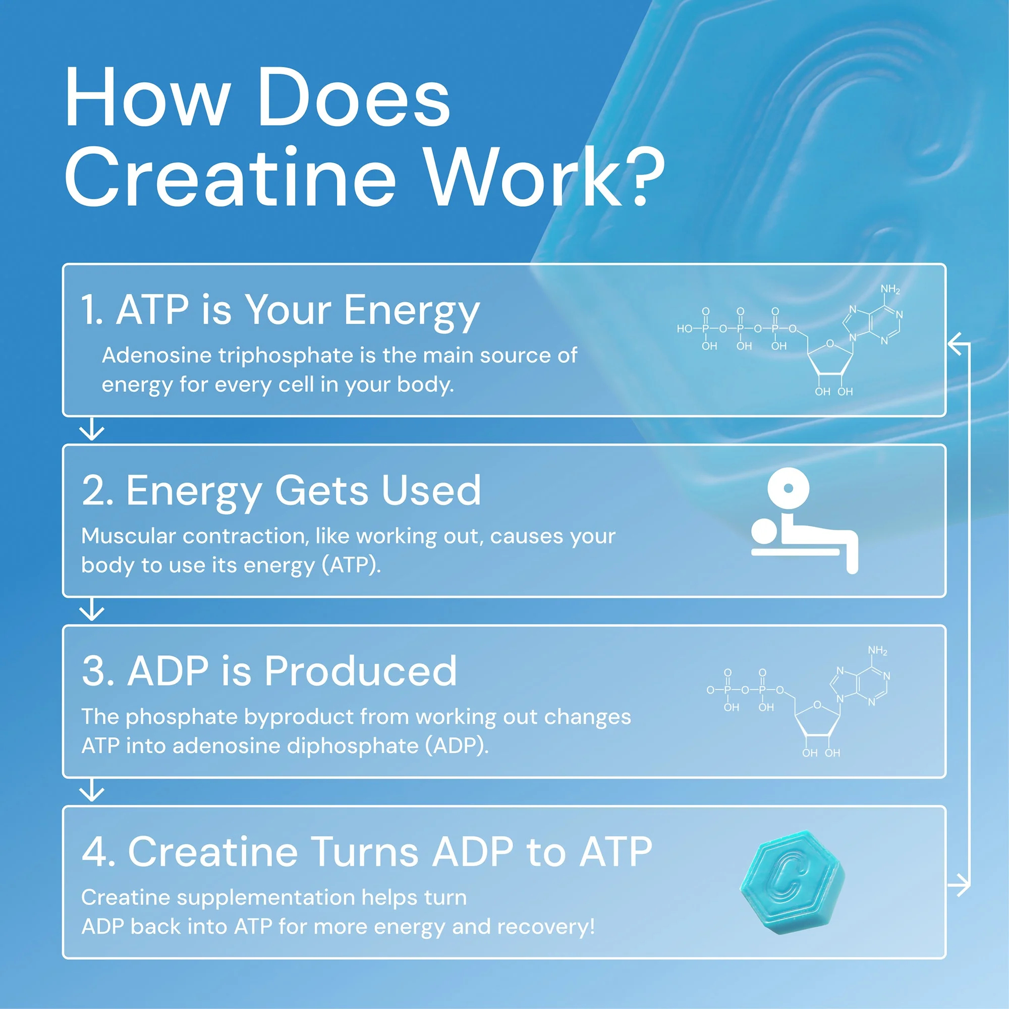 Mynded Creatine + Mushroom Daily Nootropic Gummies